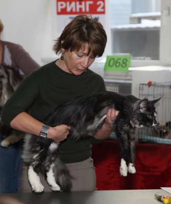 �������� ����� '������� ���-�����' 30 ������-1 ������� 2013., WCF-����� 2898